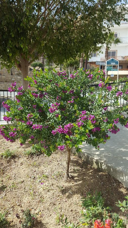 Lazaros Pissouri Apartments Eksteriør billede